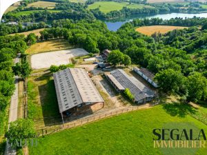 Propriete-Equestre-a-vendre-a-MONESTIES-avec-3-gites-Jean-Baptiste-Galud-Agence-Immobiliere-Conseiller-Immobilier-Carmaux-Pampelonne-Albi-Monesties