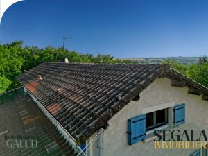 Propriete-Equestre-a-vendre-a-MONESTIES-avec-3-gites-Jean-Baptiste-Galud-Agence-Immobiliere-Conseiller-Immobilier-Carmaux-Pampelonne-Albi-Monesties