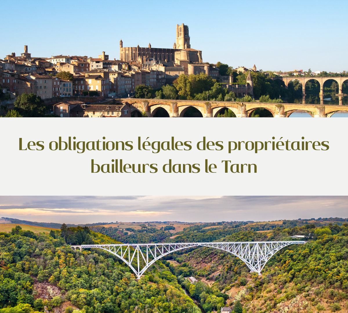 Les obligations légales des propriétaires bailleurs dans le Tarn