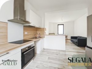 Appartement Duplex Centre Ville de Carmaux